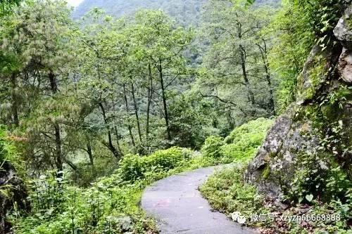 日喀则举行非遗代表性项目牌匾和传承人证书颁发仪式