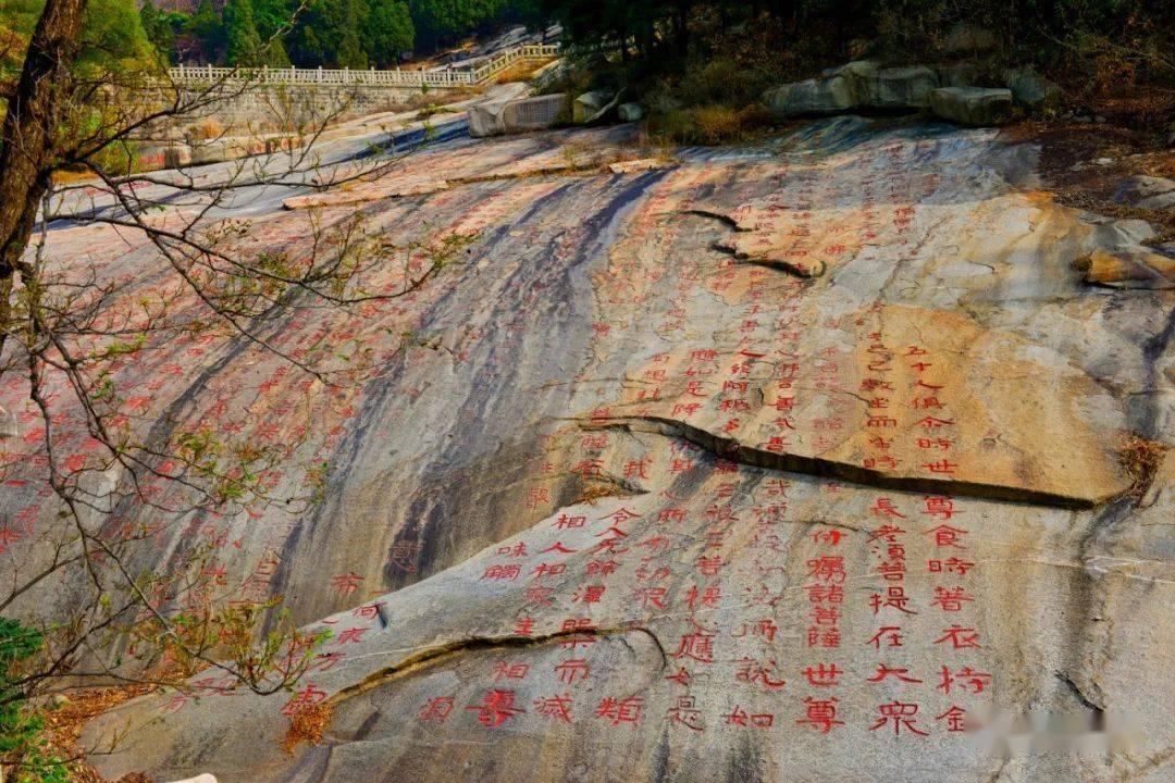健康问太和 | 儿童心脏病有哪些症状,如何早期识别?